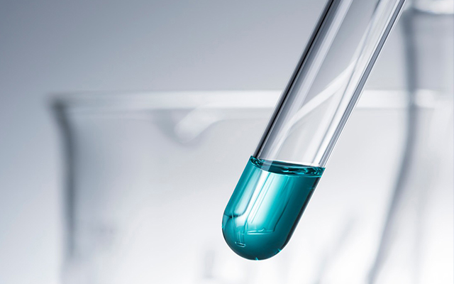 Donghai Dehui Lighting Appliance technology