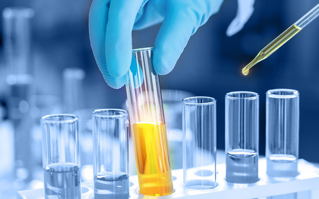 Donghai Dehui Lighting Appliance technology